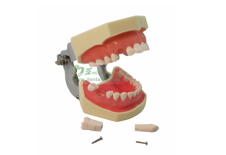 TM-A14 Standard Model